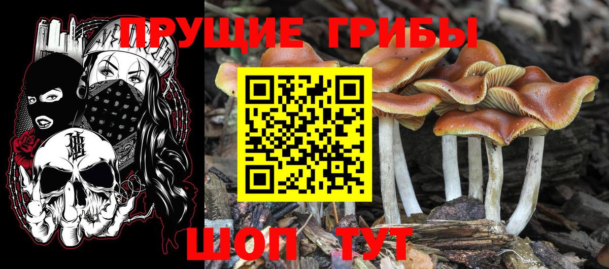 купить закладку  Галлюциногенные грибы мицелий  Вход с VPN  Белгород  Галлюциногенные грибы Psilocybe 